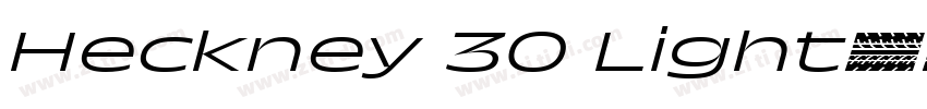 Heckney 30 Light字体转换